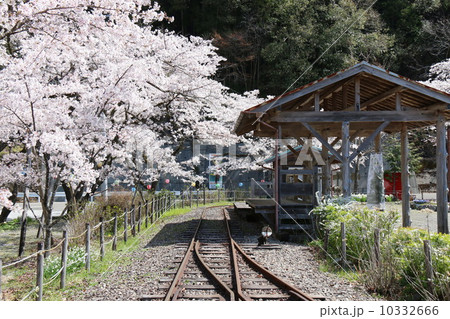 梁瀬森林鉄道 梁瀬森林鉄道 10332666