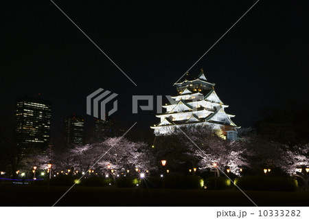 大坂城公園　桜のライトアップ 10333282