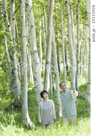 森林の中を歩くシニア夫婦 10333926