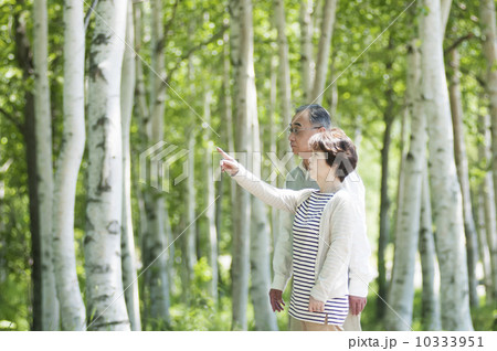 森林の中で微笑むシニア夫婦 10333951