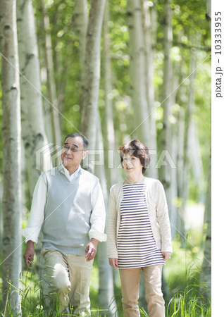 森林の中を歩くシニア夫婦 10333955