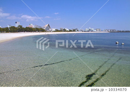 須磨海岸、須磨海浜公園 須磨海岸、須磨海浜公園 10334070