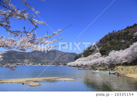 春の海津大崎 10335154