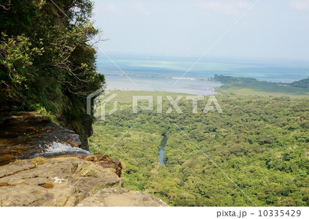 西表島　ピナイサーラの滝の上からの眺め 10335429