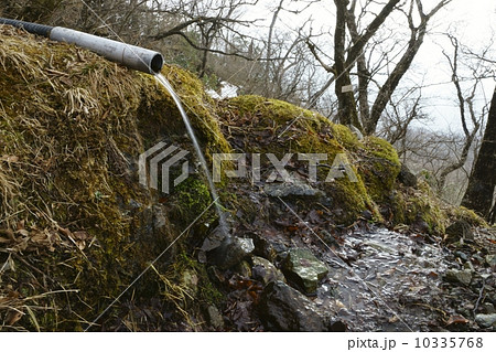 丹沢山地　塔ノ岳の水場 10335768