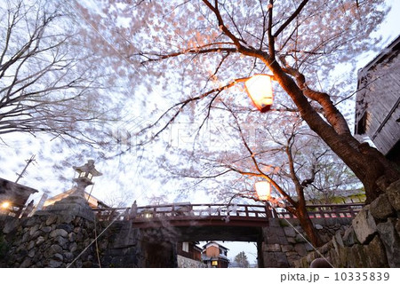 八幡堀りの夜桜 10335839