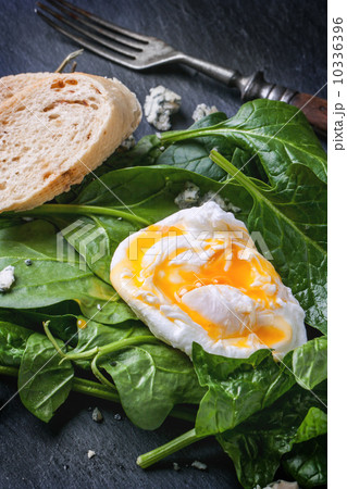 Poached egg on spinach 10336396