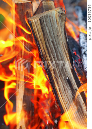 Bonfire close-up view 10336756