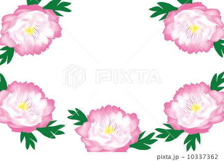 牡丹の花の多目的カード 10337362