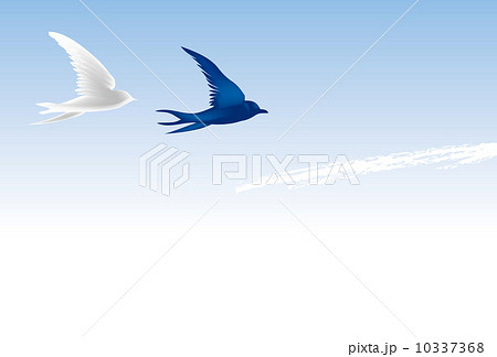 青と白の大空を飛ぶ二羽の鳥のイラスト素材