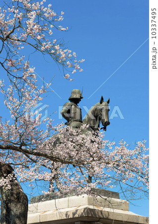 桜と政宗騎馬像 10337495