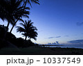 カウアイ島ワイメアのビーチ 10337549