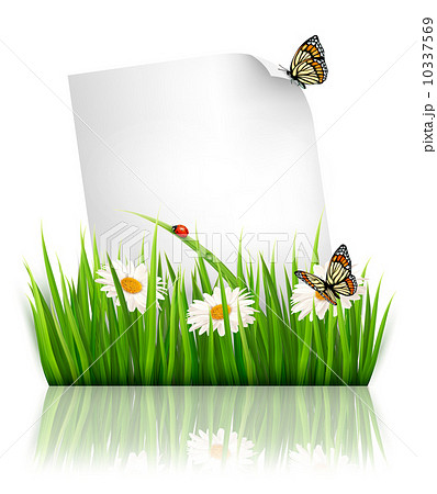 Nature background with grass and a paper. Vector. Nature background with grass and a paper. Vector. 10337569