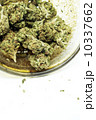 Marijuana 10337662