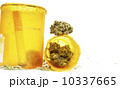 Marijuana 10337665