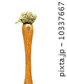 Marijuana 10337667