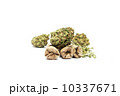 Marijuana 10337671