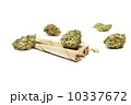 Marijuana 10337672