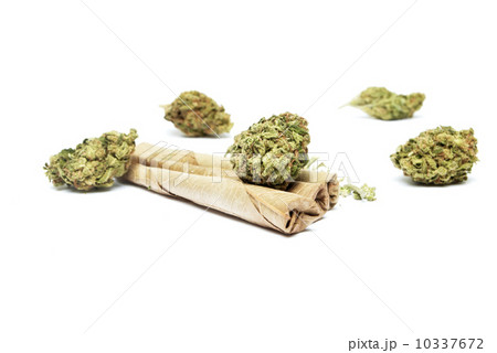 Marijuana 10337672