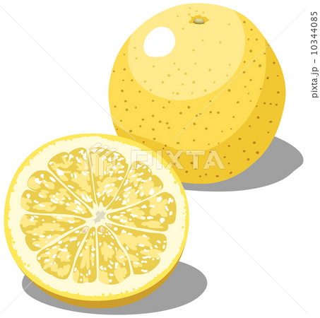 新鮮な食材２ 10344085