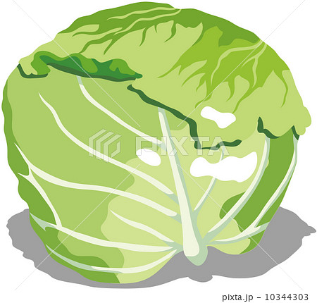 新鮮な食材 10344303
