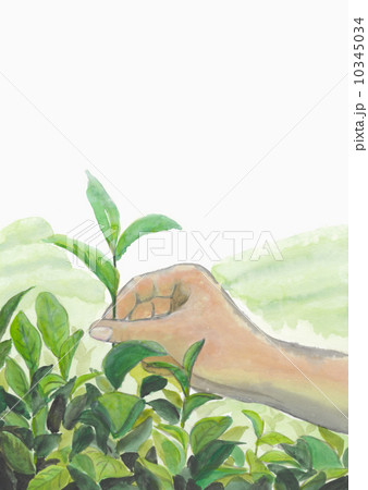 イラスト歳時記 イラスト歳時記 10345034