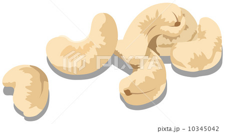 新鮮な食材２ 10345042