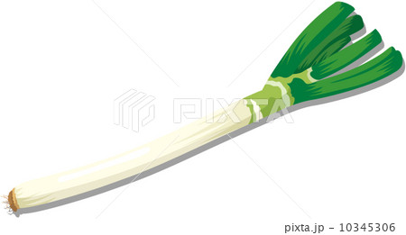 新鮮な食材 10345306