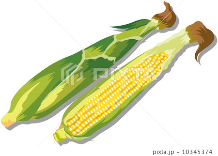 新鮮な食材 10345374