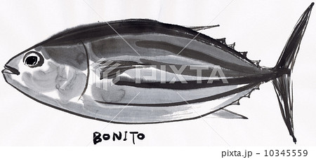 墨絵　四季折々 10345559