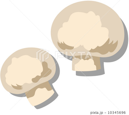 新鮮な食材 新鮮な食材 10345696