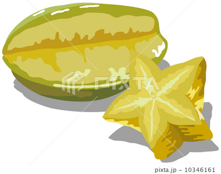 新鮮な食材２ 10346161