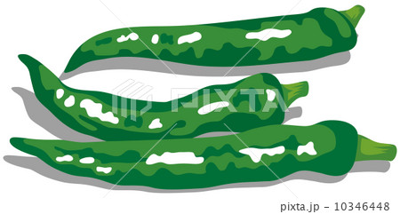 新鮮な食材２ 10346448