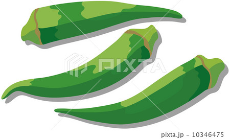 新鮮な食材 新鮮な食材 10346475