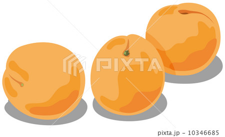 新鮮な食材２ 10346685