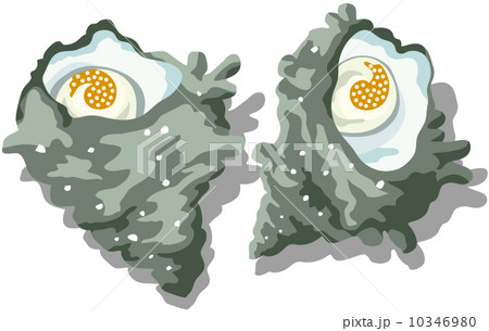 新鮮な食材 新鮮な食材 10346980