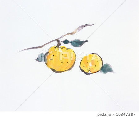 味わいの墨絵 10347287