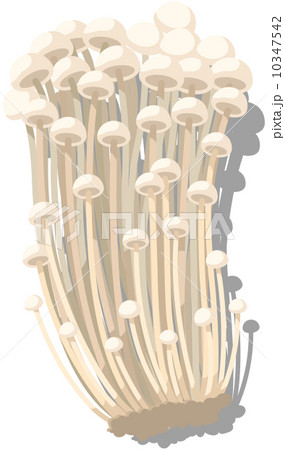 新鮮な食材 10347542