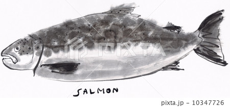 墨絵 四季折々 墨絵 四季折々 10347726