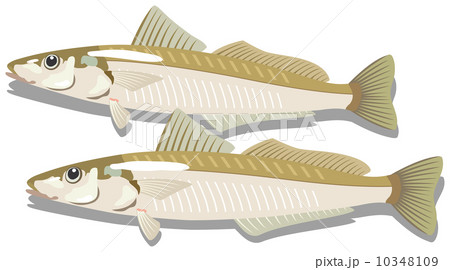 新鮮な食材２ 10348109