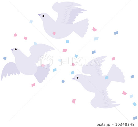 ウェディング ウェディング 10348348