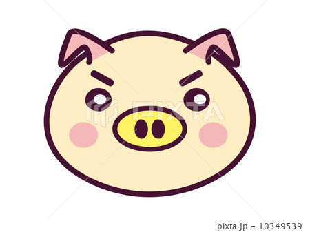 ブタの顔 10349539