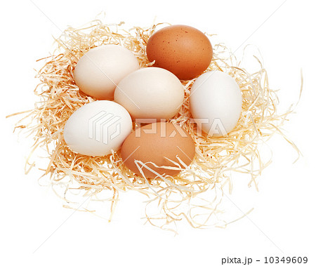 Eggs in straw nest. 10349609