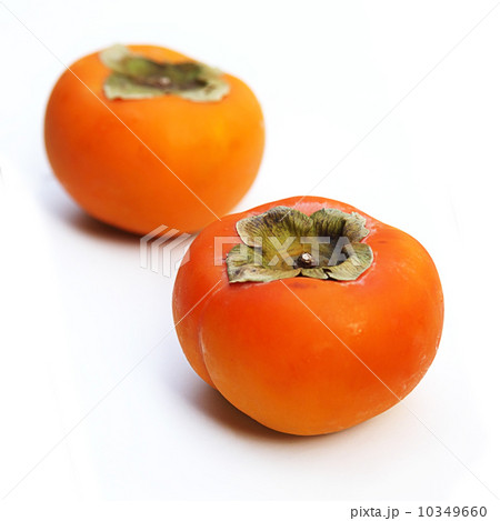 Persimmon Persimmon 10349660