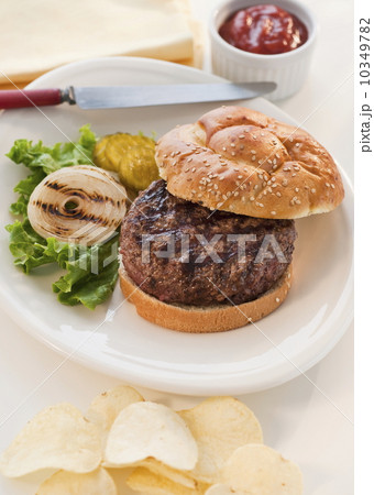 Studio shot of hamburger 10349782