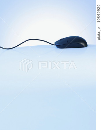 Computer mouse Computer mouse 10349920