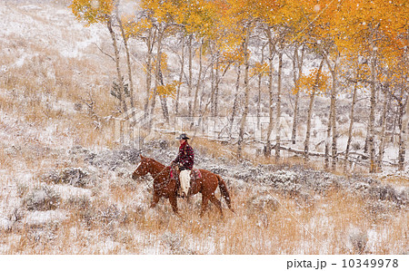 Horseback rider Horseback rider 10349978