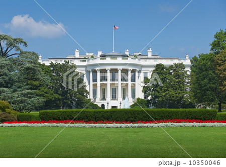 White house 10350046