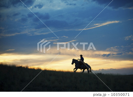 Horseback rider 10350071