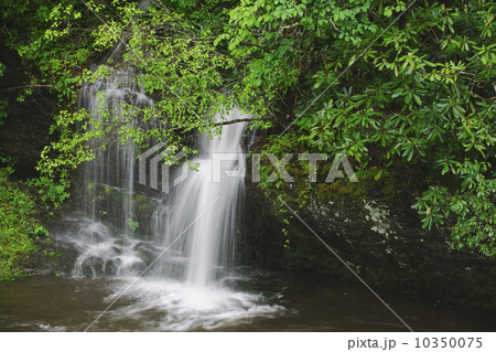 A scenic waterfall A scenic waterfall 10350075